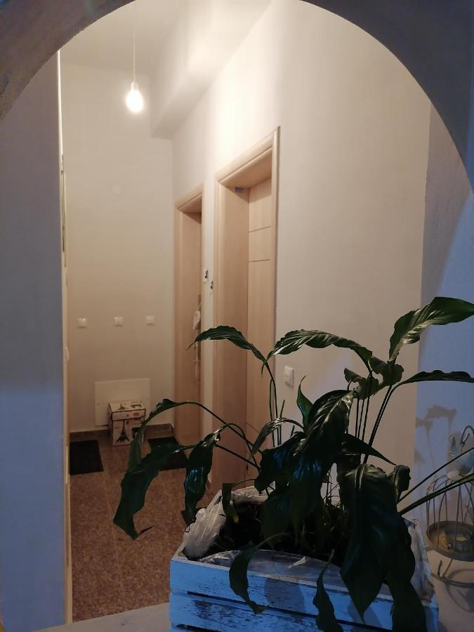 Eliora Studio & Aelia Apartment イラクリオン エクステリア 写真